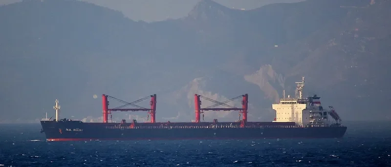 XIN HAI JIA Bulk Carrier IMO 9467859 photo 6