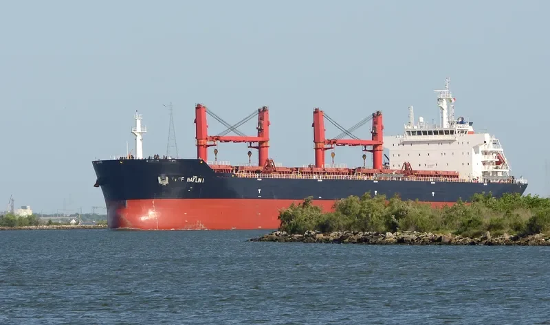 XIN HAI JIA Bulk Carrier IMO 9467859 photo 7