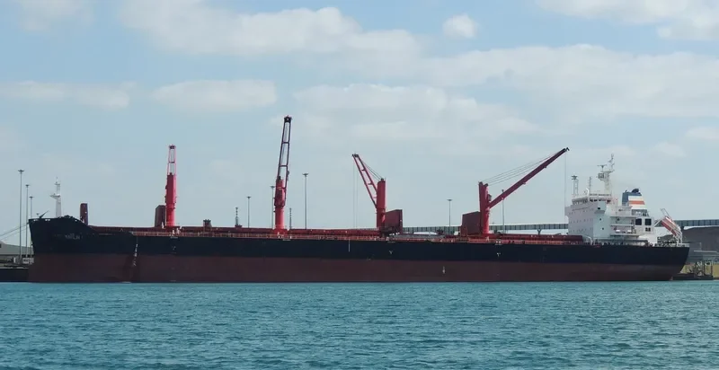 XIN HAI JIA Bulk Carrier IMO 9467859 photo 9