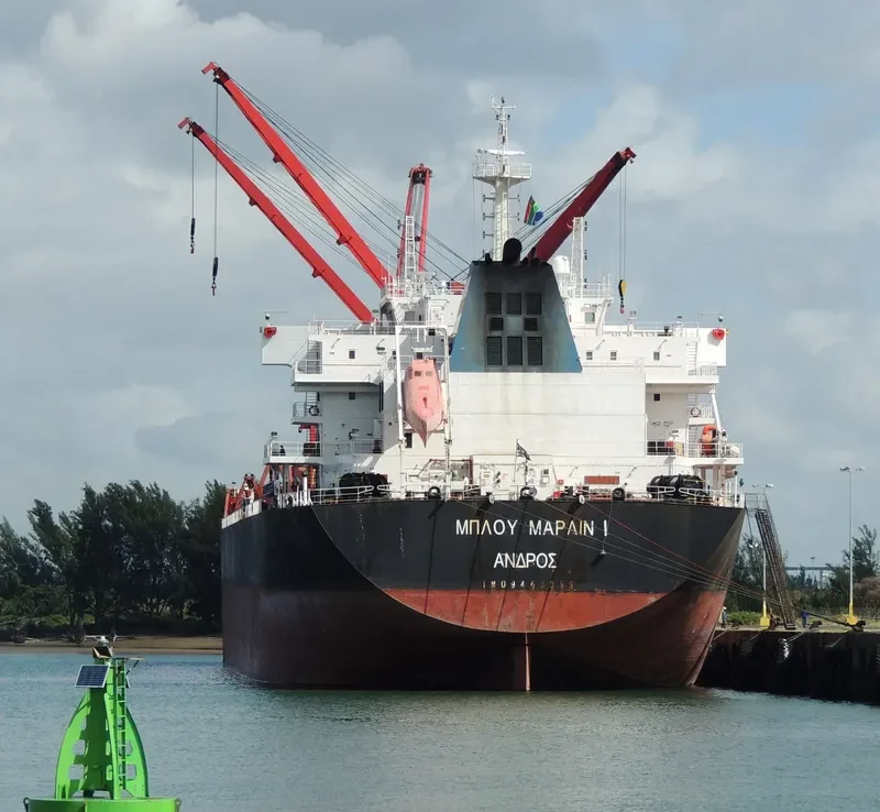 XIN HAI JIA Bulk Carrier IMO 9467859 photo 10