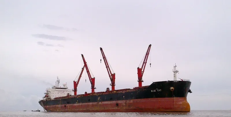 PANGEO Bulk Carrier IMO 9467873