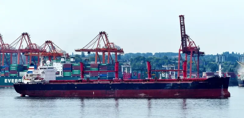PANGEO Bulk Carrier IMO 9467873 photo 4