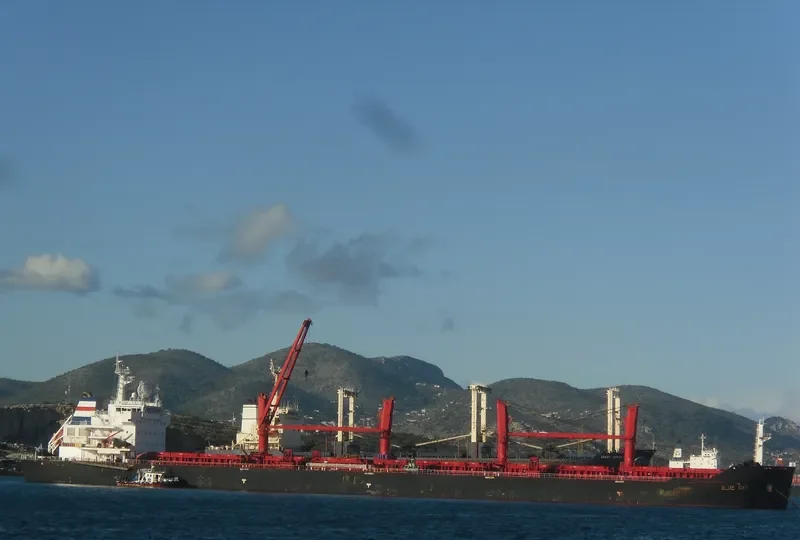 PANGEO Bulk Carrier IMO 9467873 photo 6