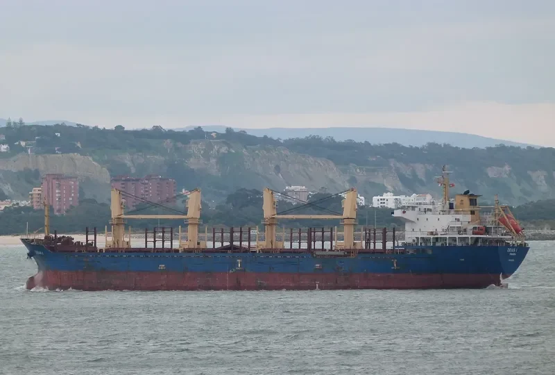 IMC 17 Bulk Carrier IMO 9467885 photo 3