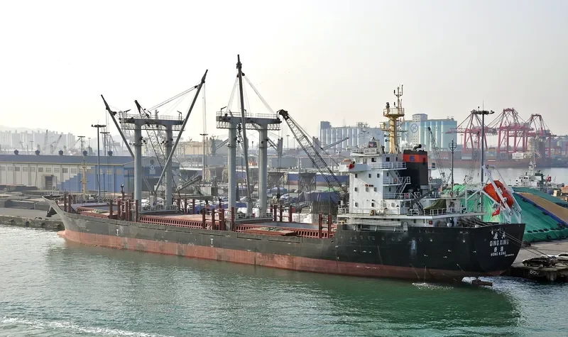 PEACE GRACE Bulk Carrier IMO 9467914 photo 2
