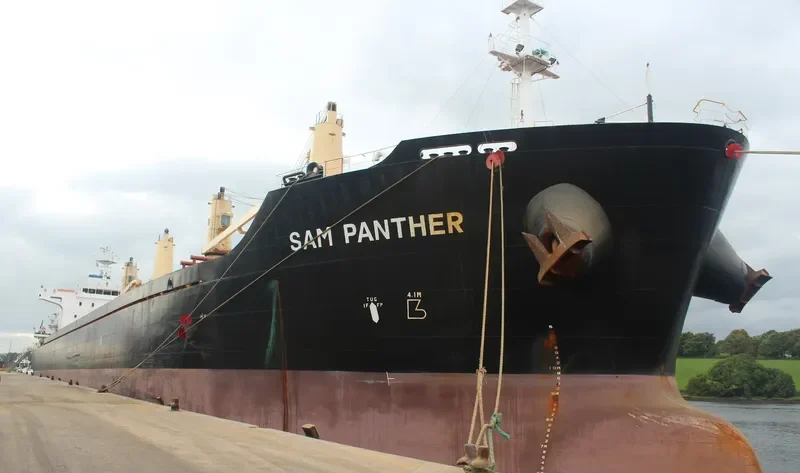 CECILIA Bulk Carrier IMO 9467952