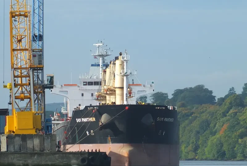 CECILIA Bulk Carrier IMO 9467952 photo 2