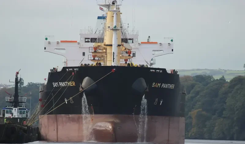 CECILIA Bulk Carrier IMO 9467952 photo 3