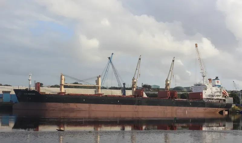 CECILIA Bulk Carrier IMO 9467952 photo 5