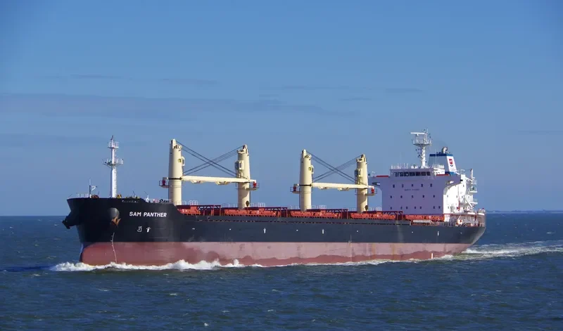 CECILIA Bulk Carrier IMO 9467952 photo 6