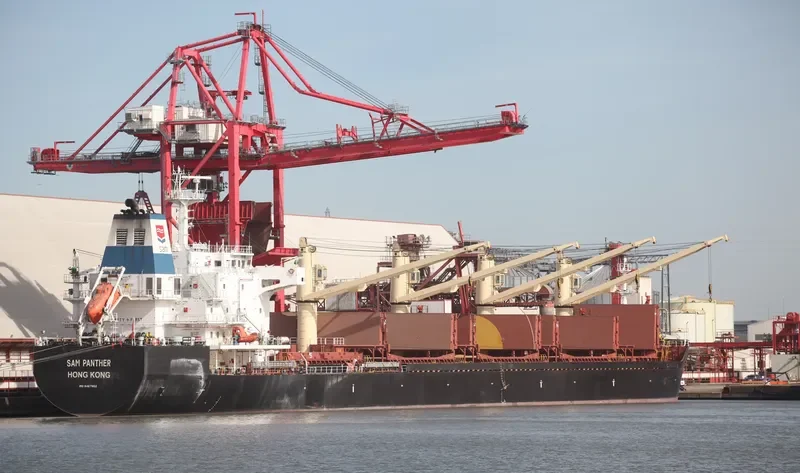 CECILIA Bulk Carrier IMO 9467952 photo 8