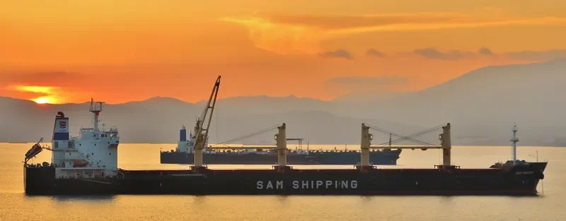 CECILIA Bulk Carrier IMO 9467952 photo 10