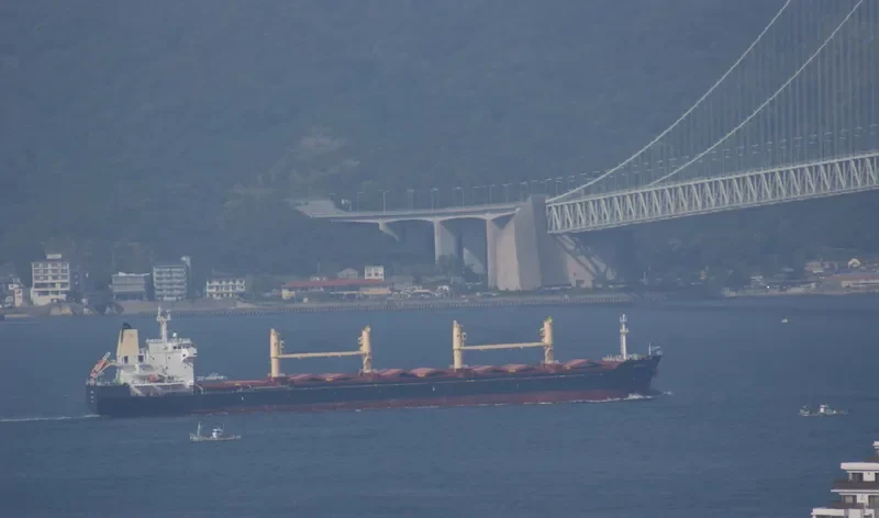 AGIA DOXA Bulk Carrier IMO 9467976 photo 9