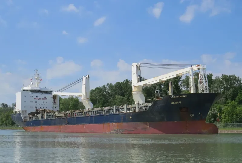 ALANIS General Cargo IMO 9468085 photo 3