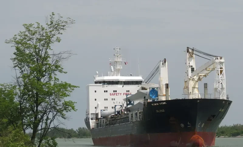 ALANIS General Cargo IMO 9468085 photo 8