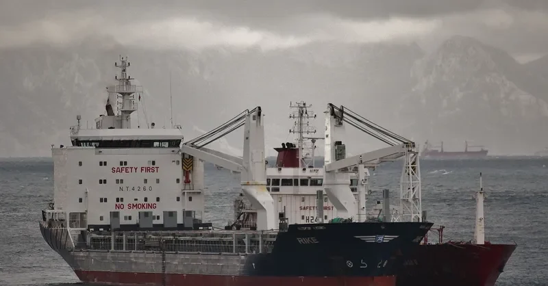 RIKE General Cargo IMO 9468097 photo 6
