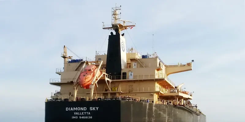 DIAMOND SKY Bulk Carrier IMO 9468138 photo 2