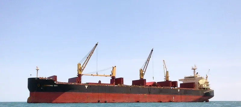 DIAMOND SKY Bulk Carrier IMO 9468138 photo 3