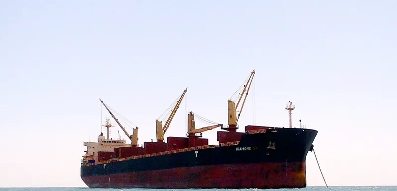DIAMOND SKY Bulk Carrier IMO 9468138 photo 4