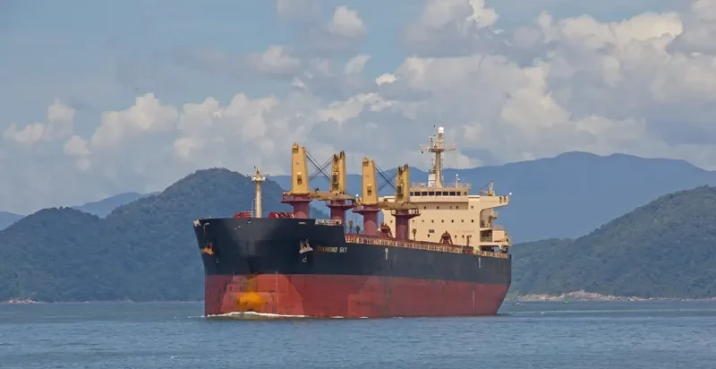 DIAMOND SKY Bulk Carrier IMO 9468138 photo 5
