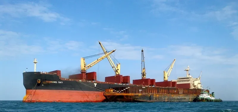DIAMOND SKY Bulk Carrier IMO 9468138 photo 6