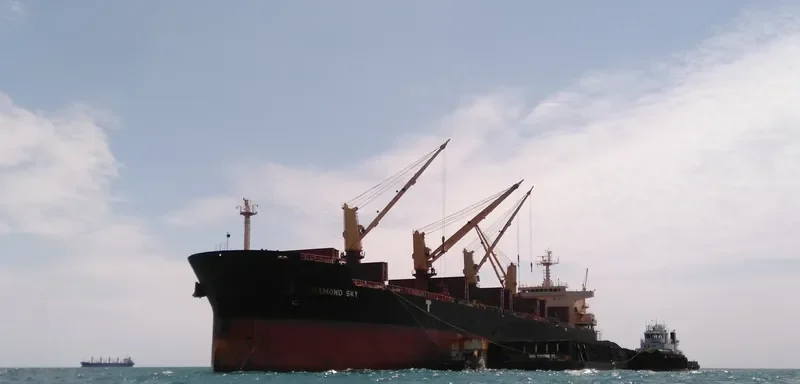 DIAMOND SKY Bulk Carrier IMO 9468138 photo 7