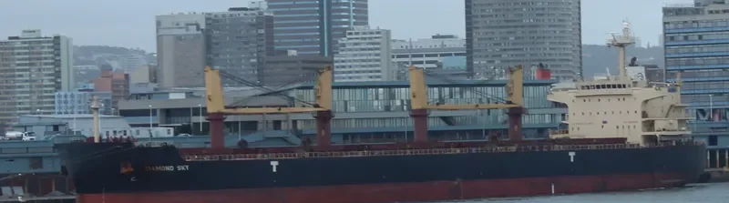 DIAMOND SKY Bulk Carrier IMO 9468138 photo 8