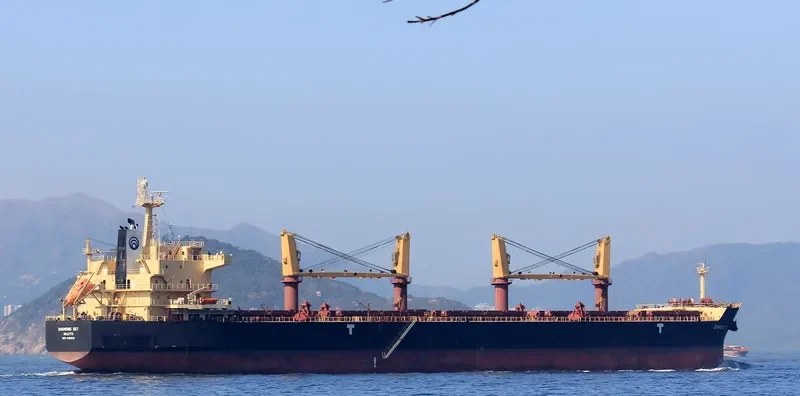 DIAMOND SKY Bulk Carrier IMO 9468138 photo 9