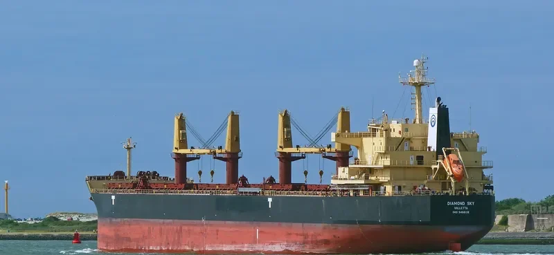 DIAMOND SKY Bulk Carrier IMO 9468138 photo 10