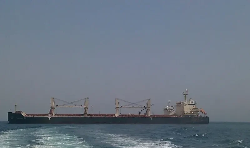 DIAMOND SEA Bulk Carrier IMO 9468152 photo 2