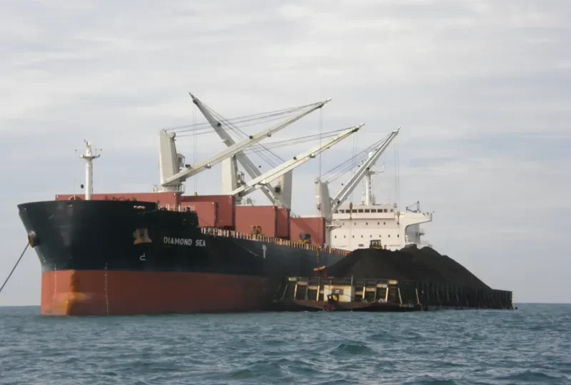 DIAMOND SEA Bulk Carrier IMO 9468152 photo 3