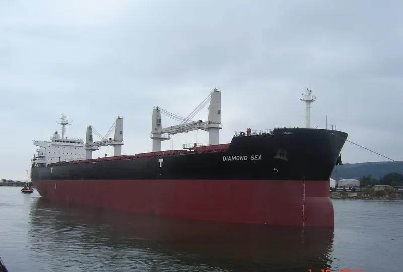 DIAMOND SEA Bulk Carrier IMO 9468152 photo 6