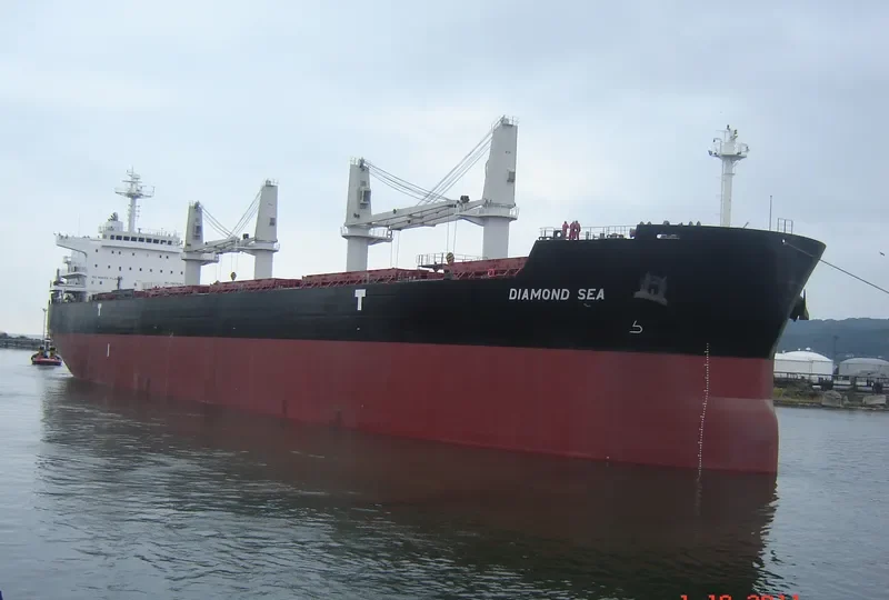 DIAMOND SEA Bulk Carrier IMO 9468152 photo 7