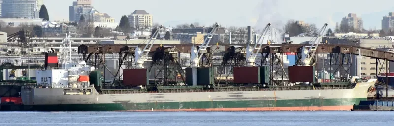 COPACABANA Bulk Carrier IMO 9468217 photo 2