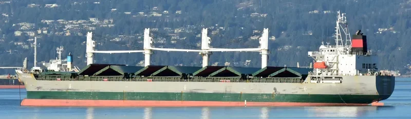 COPACABANA Bulk Carrier IMO 9468217 photo 3