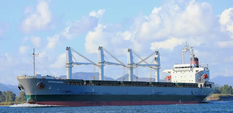 COPACABANA Bulk Carrier IMO 9468217 photo 7