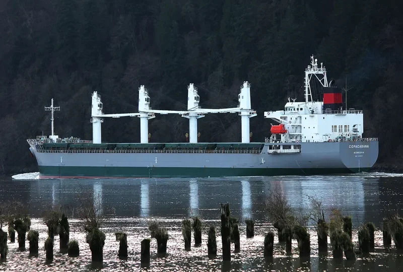 COPACABANA Bulk Carrier IMO 9468217 photo 8