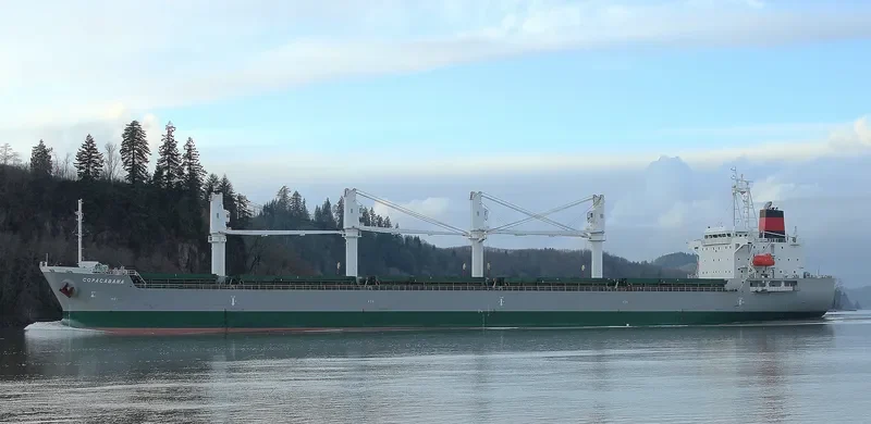 COPACABANA Bulk Carrier IMO 9468217 photo 9