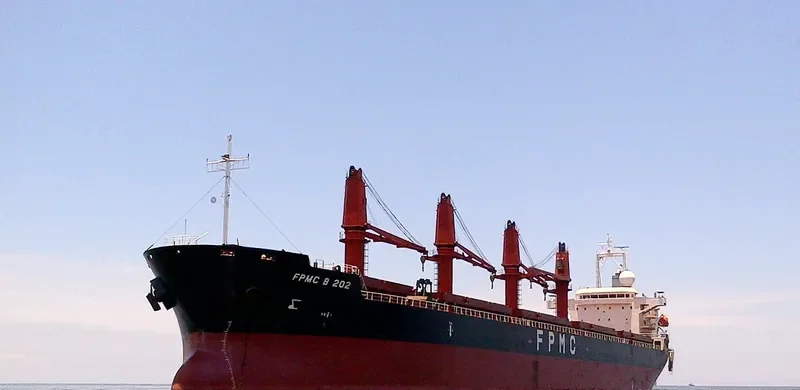 FPMC B 202 Bulk Carrier IMO 9468231 photo 2