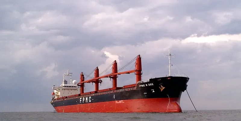 FPMC B 202 Bulk Carrier IMO 9468231 photo 3