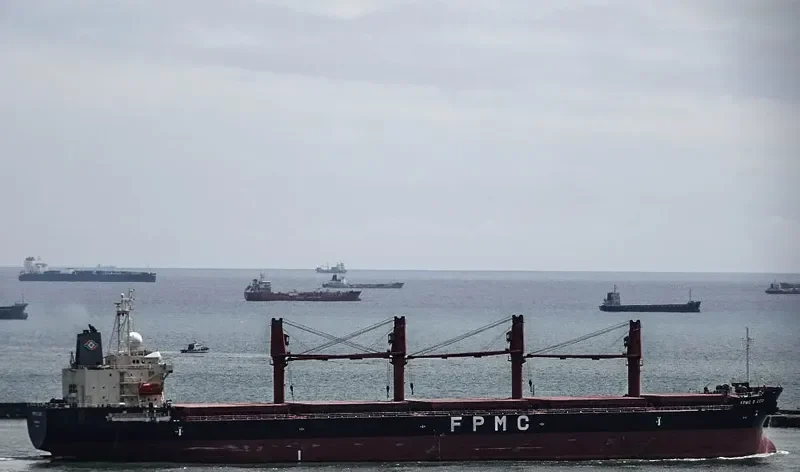 FPMC B 202 Bulk Carrier IMO 9468231 photo 6