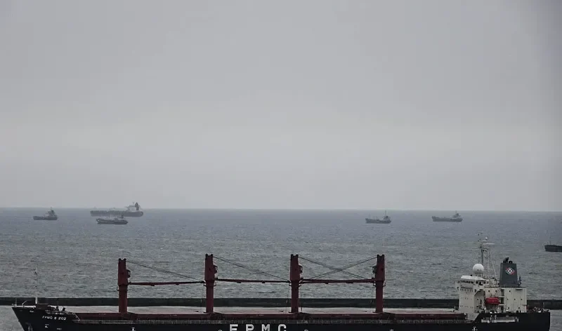 FPMC B 202 Bulk Carrier IMO 9468231 photo 7