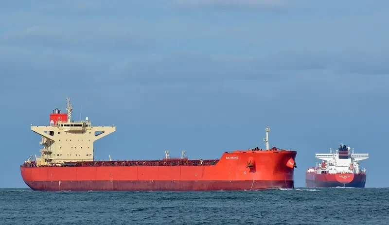 SUN ORCHID Bulk Carrier IMO 9468401 photo 7