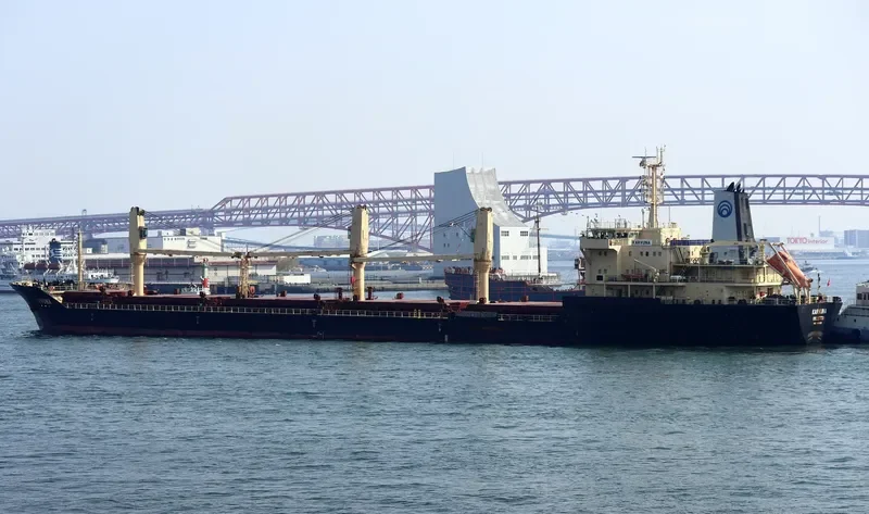 KARVUNA Bulk Carrier IMO 9468619