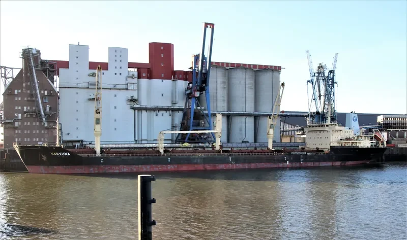 KARVUNA Bulk Carrier IMO 9468619 photo 7