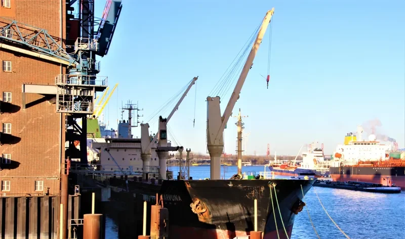 KARVUNA Bulk Carrier IMO 9468619 photo 8