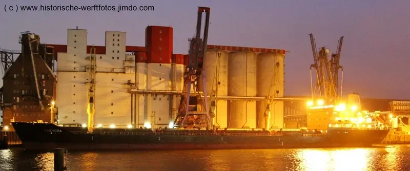 KARVUNA Bulk Carrier IMO 9468619 photo 10