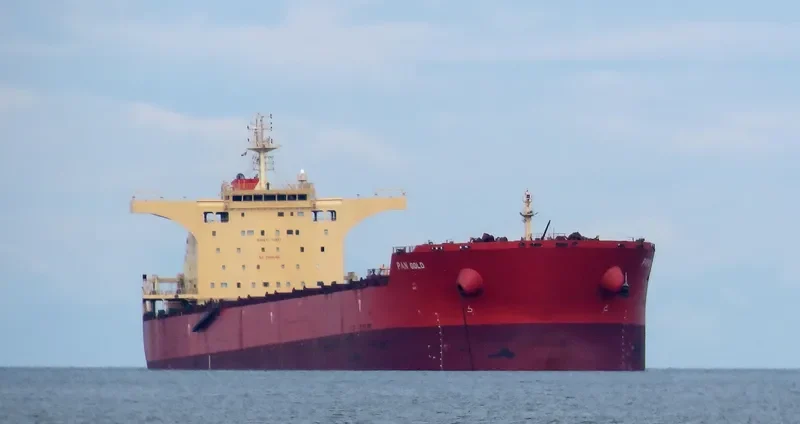 PAN GOLD Bulk Carrier IMO 9468712 photo 3