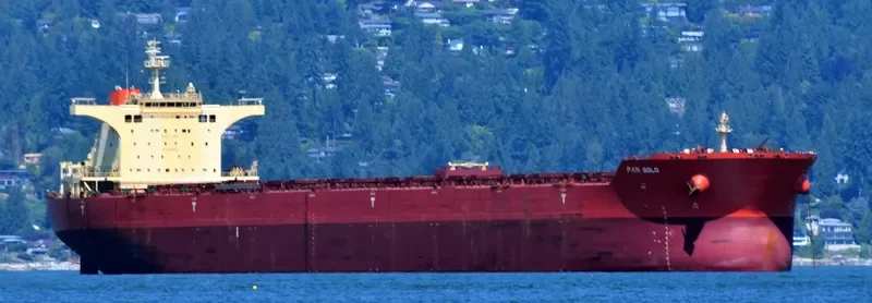 PAN GOLD Bulk Carrier IMO 9468712 photo 7