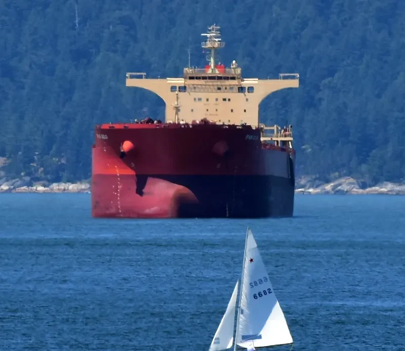 PAN GOLD Bulk Carrier IMO 9468712 photo 8